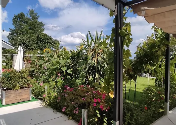 Casa Blanca 비르게스